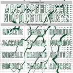 Custom Sublimation Soccer Jersey Lightning Sports Green White Uniform